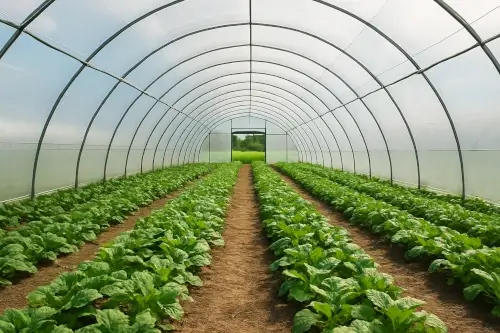 Soluciones agrícolas para el campo Colombiano